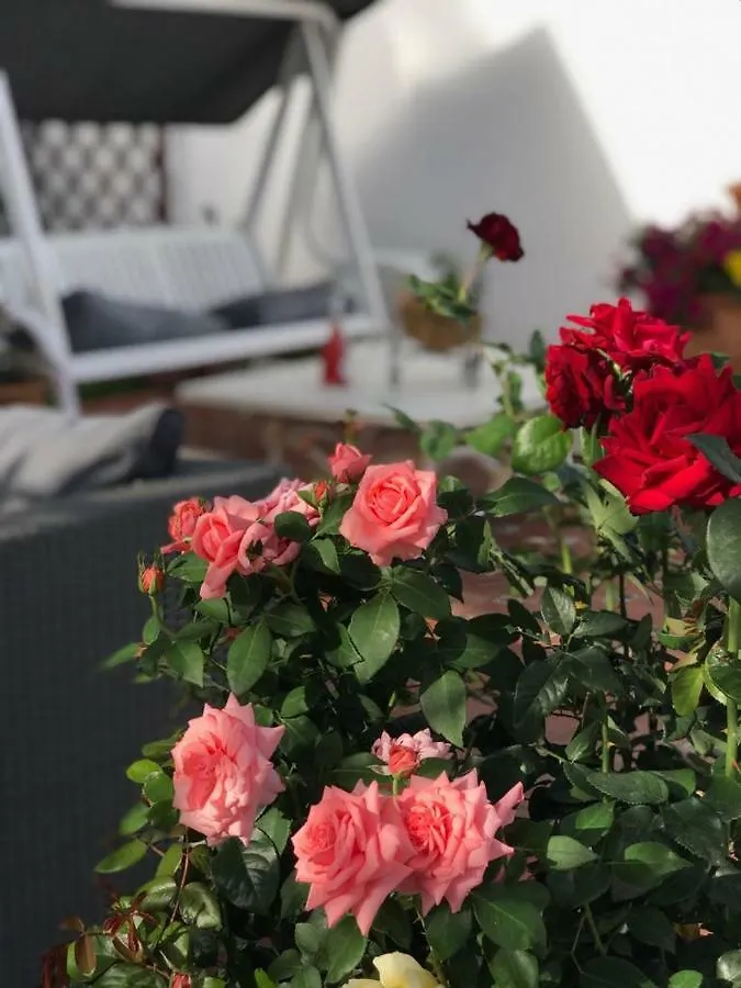 Luxury Sea Home&Terrace Malaga
