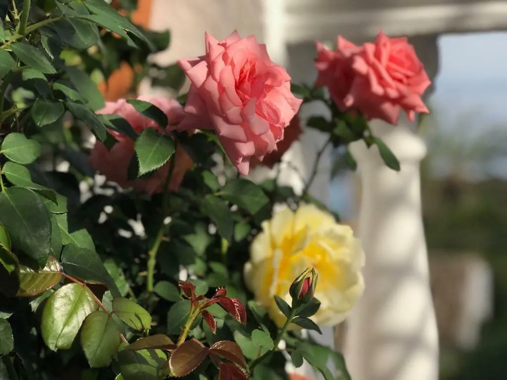 Luxury Sea Home&Terrace مالقة بيت للعطل